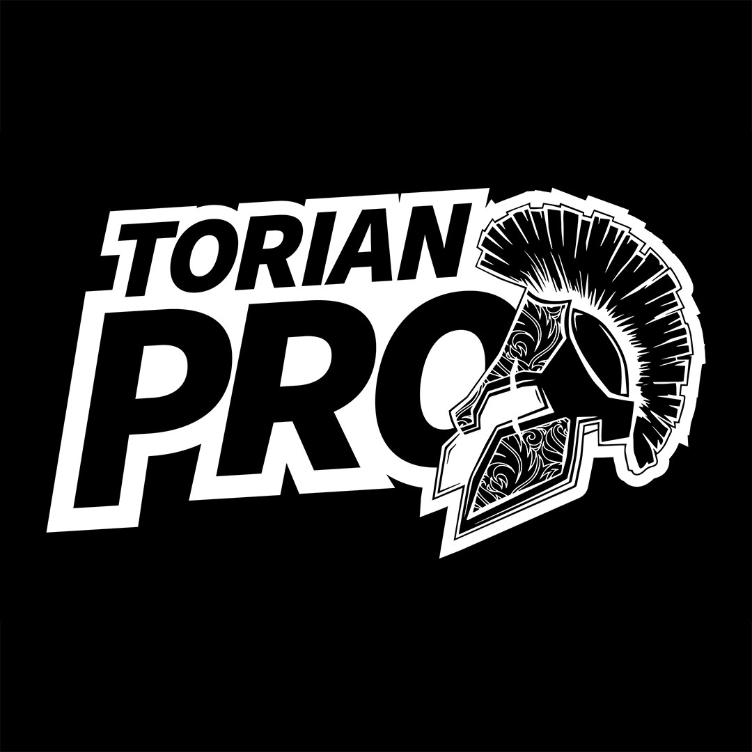 Torian Pro Online Qualifier 2022 logo