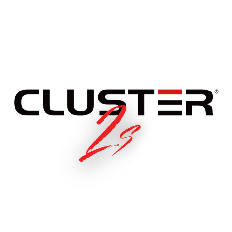 Cluster 2's 2024 logo