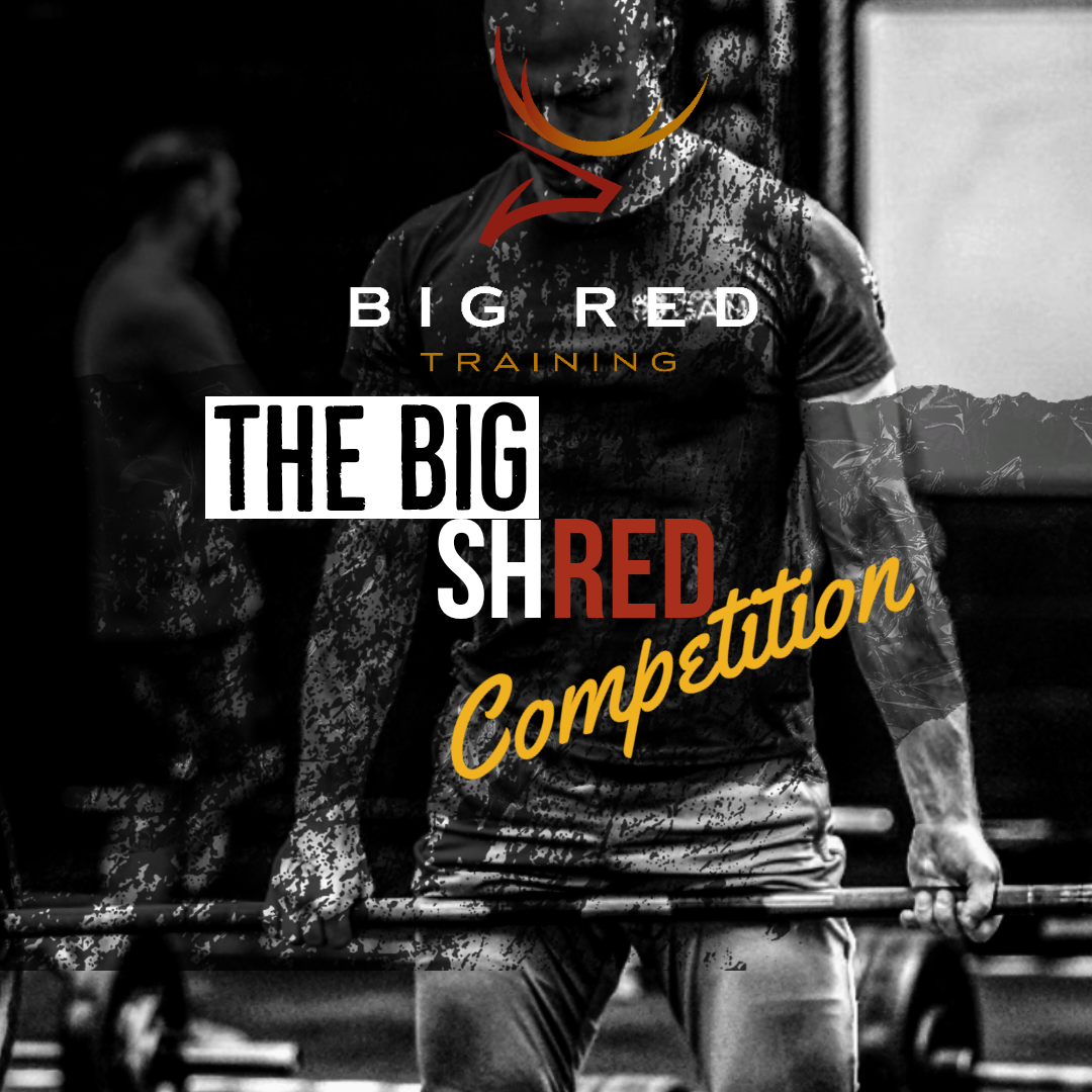 The Big ShRED Competition  logo