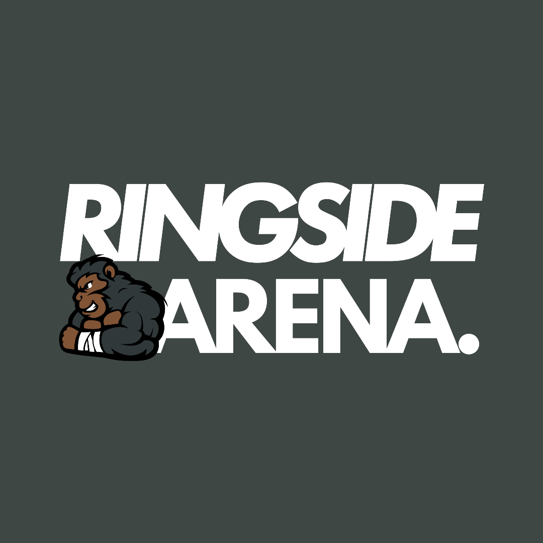 REIMS HYBRID RACE - Ringside Arena logo