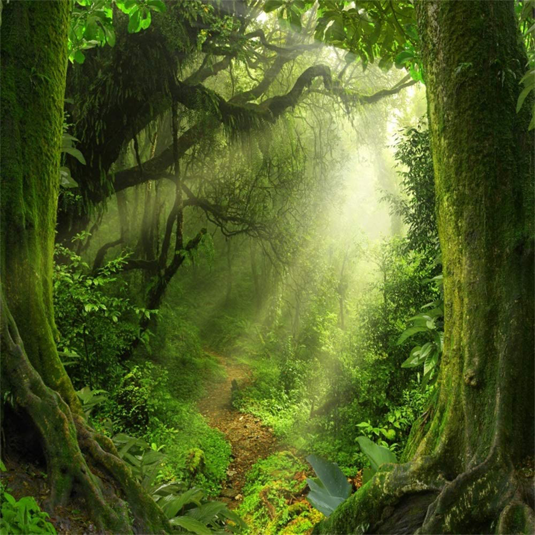 ShareWOD Forest 2020 logo