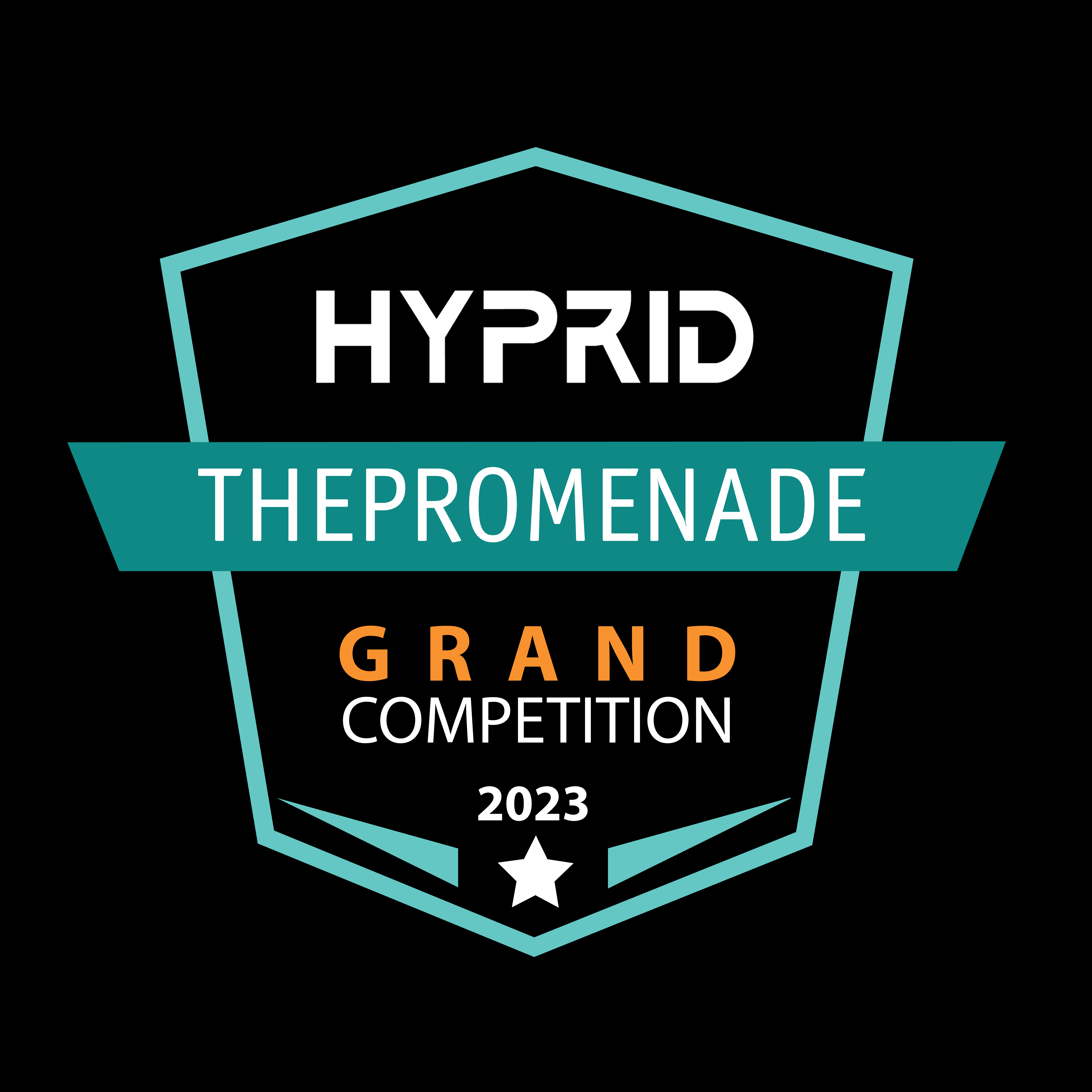 HYPRID x the promenade (Grand Competition) 2023 logo