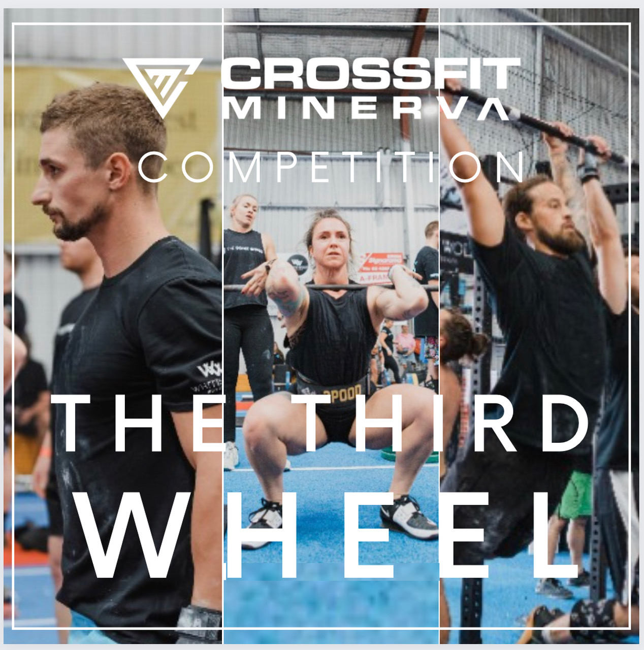 The Third Wheel logo