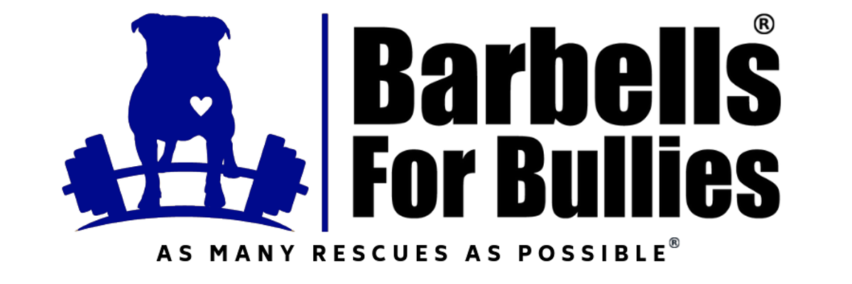 Barbells For Bullies: New Jersey logo
