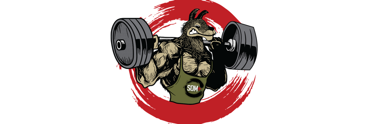 Power Llama SOM+Comp  logo