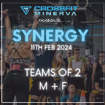 Synergy 2024  logo