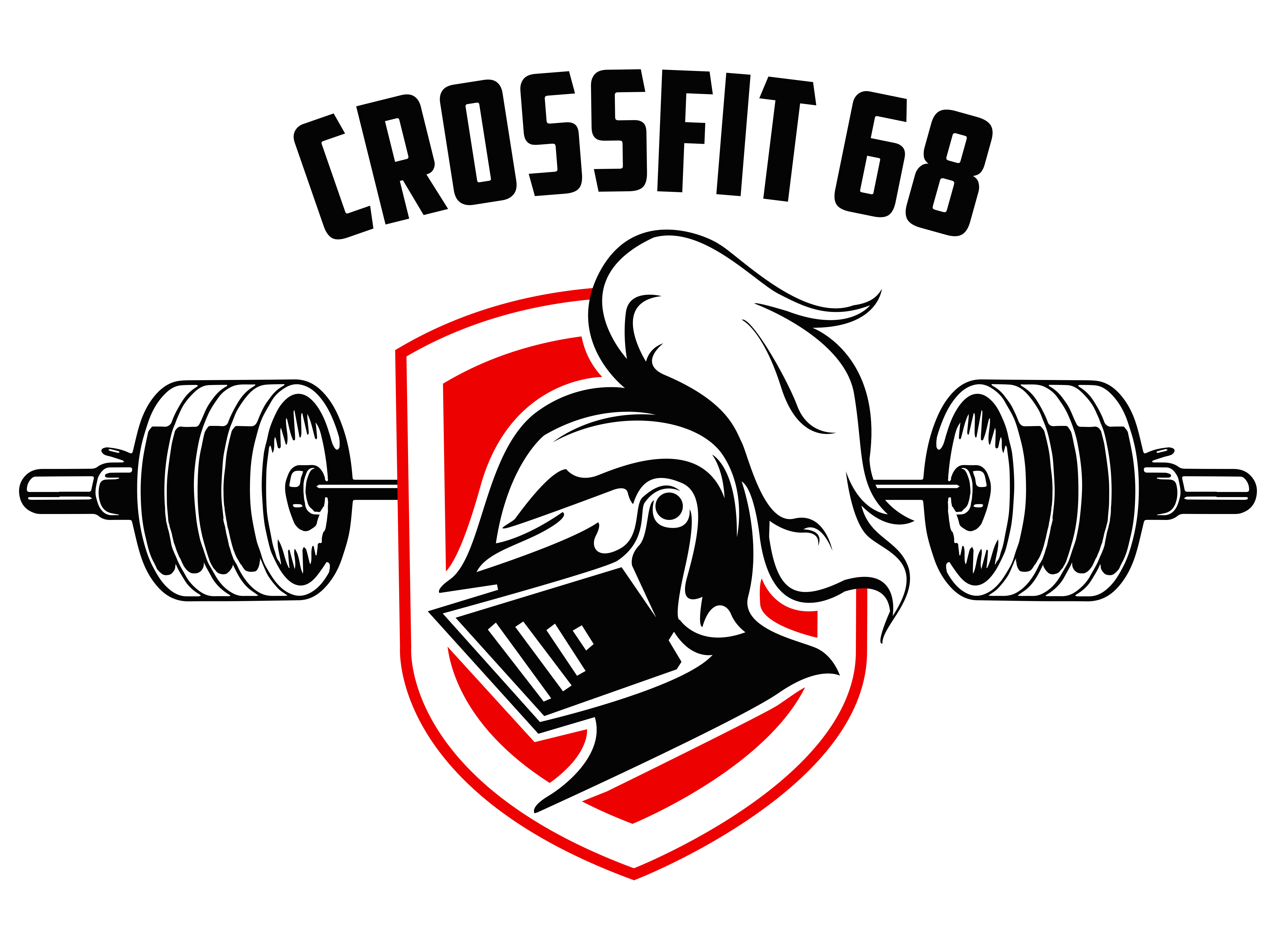 BATTLE OF KNIGHTS 2023 logo