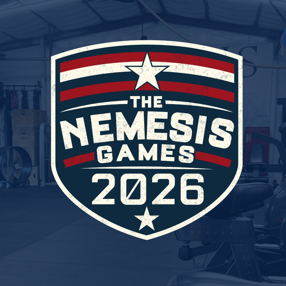 The Nemesis Games  logo