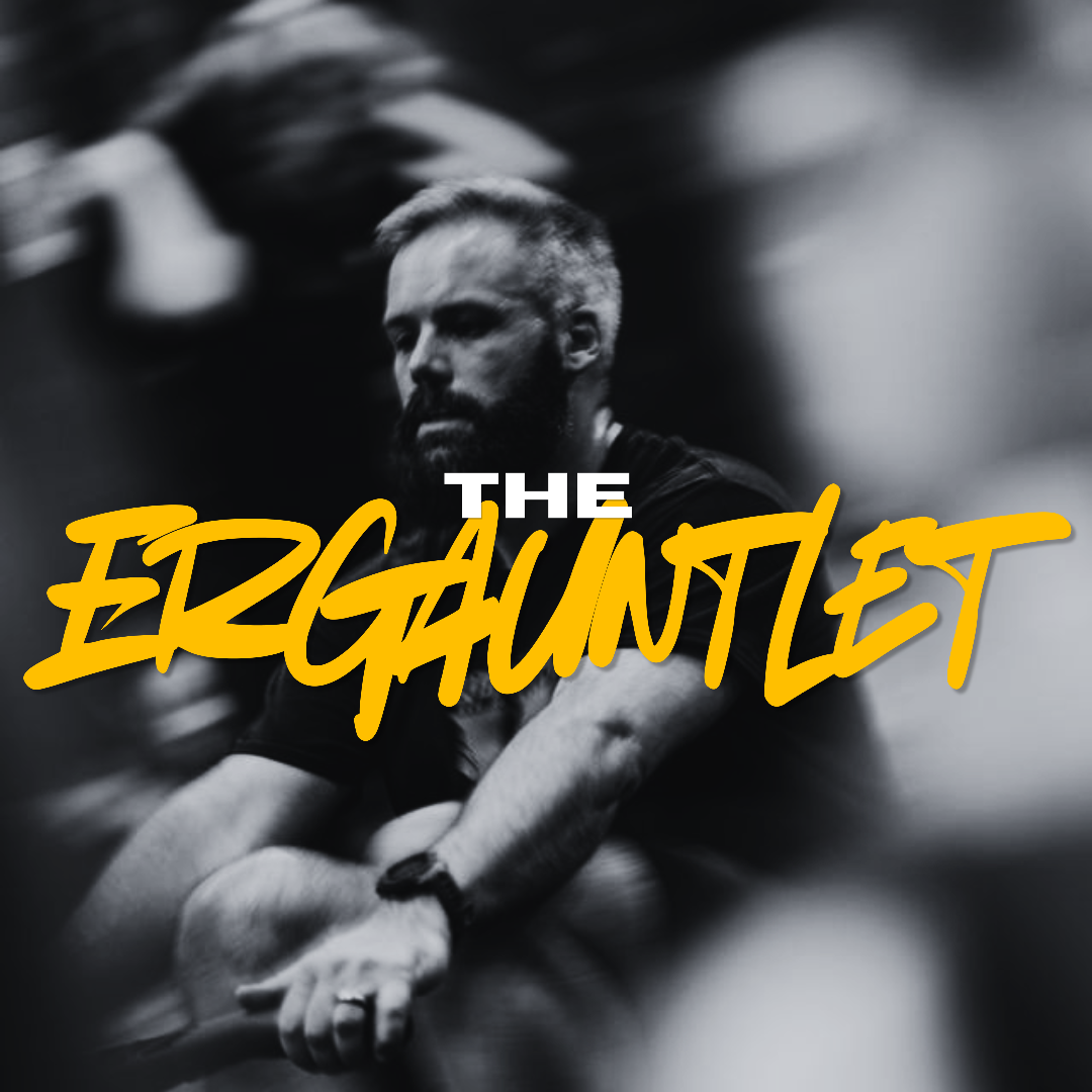 The ErGauntlet logo