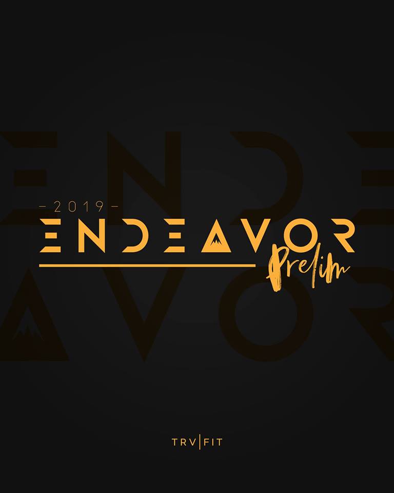 2019 Team Endeavor Prelims logo