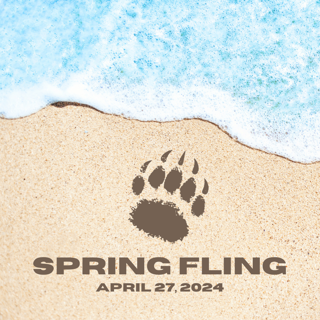Spring Fling logo