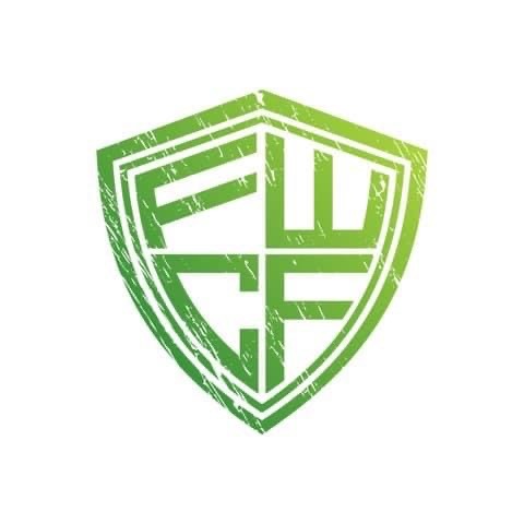 FWCF Team Series 2024 logo