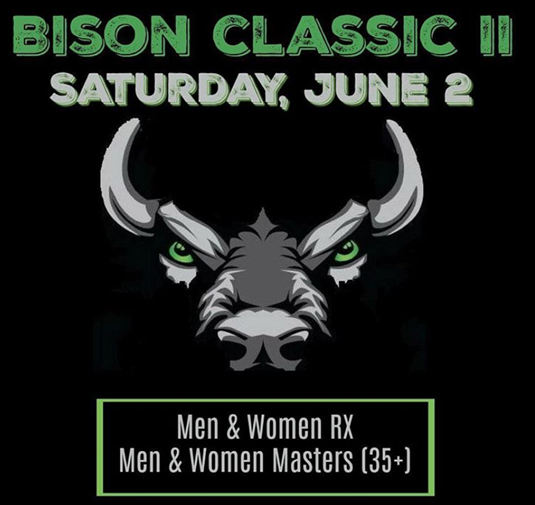 Bison Classic II logo