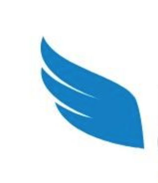 Rise to the Challenge logo