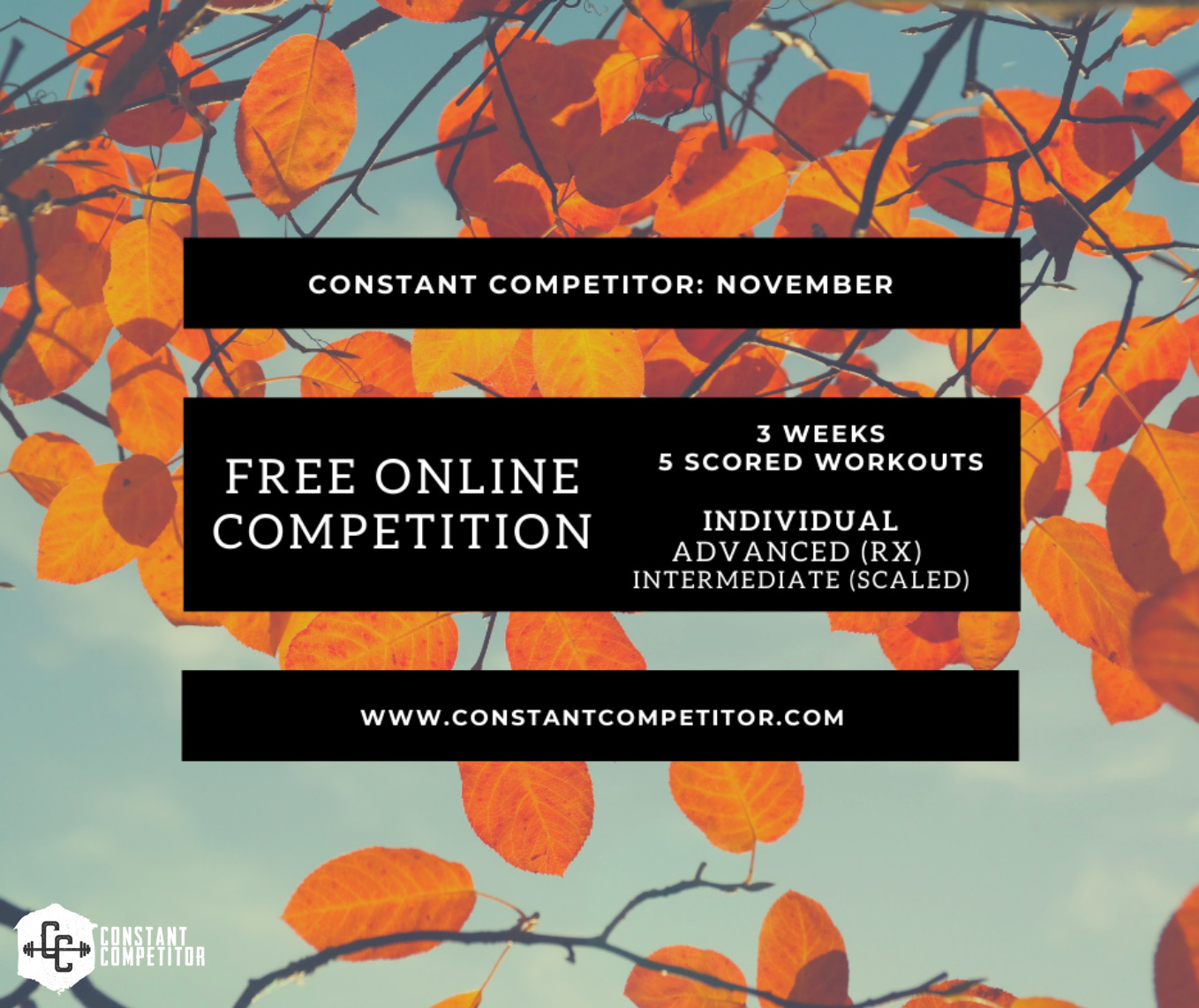 Constant Competitor: November Online Competition logo