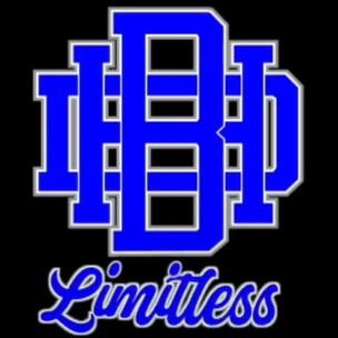 BHD LIMITLESS  logo