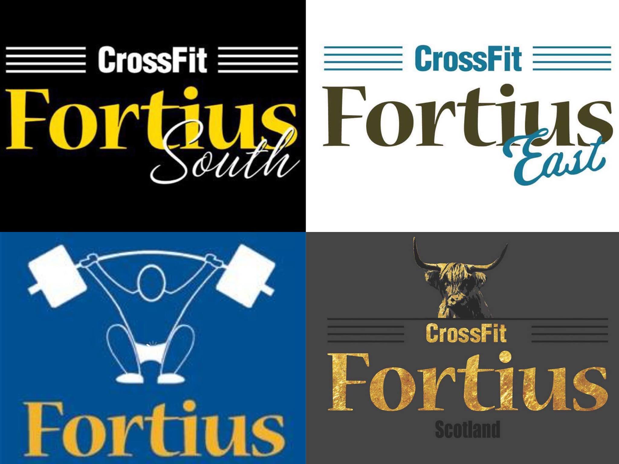 2016 Fortius Fall Invitational logo