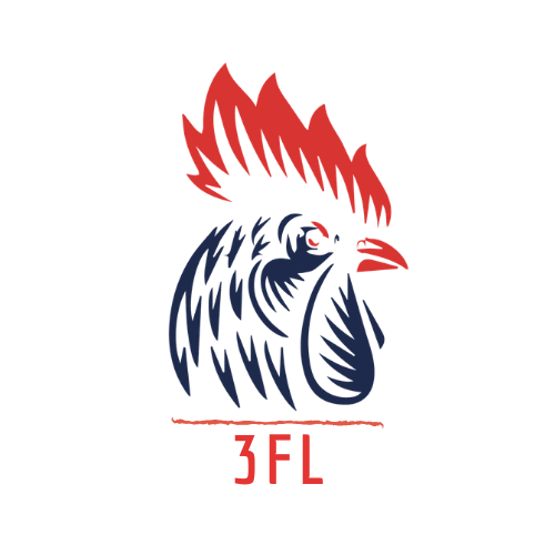 FRENCH FUNCTIONAL FITNESS LEAGUE - TEST DAY logo