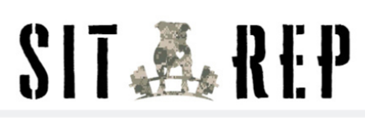 Sit Rep 2021 logo