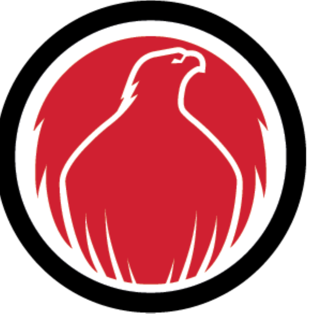 Flying Phoenixes Fundraiser logo