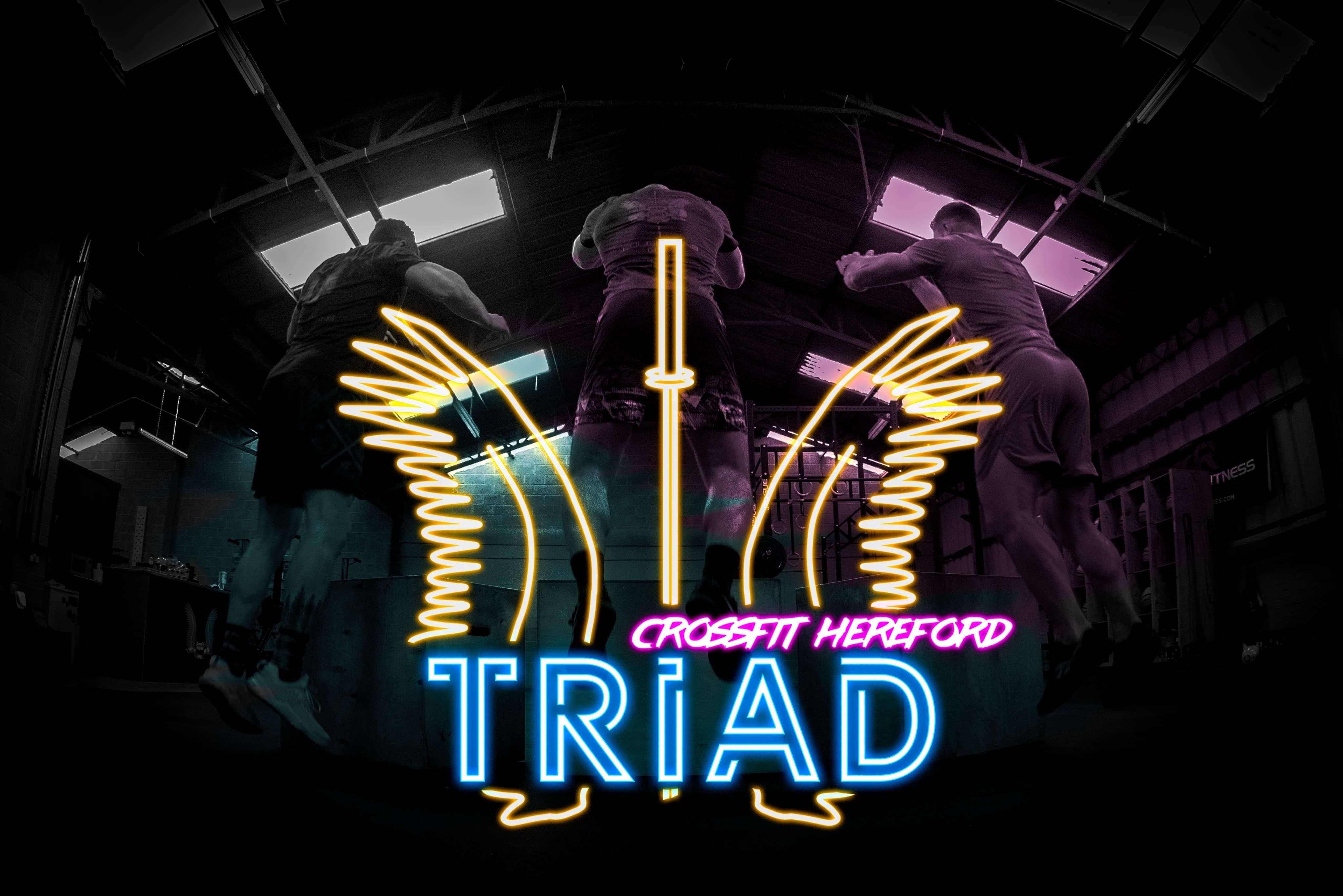 TRIAD SERIES logo