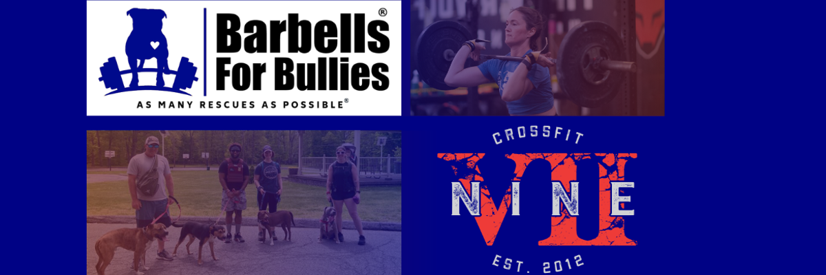 Barbells For Bullies: Community Workout at CrossFit Nine VII logo