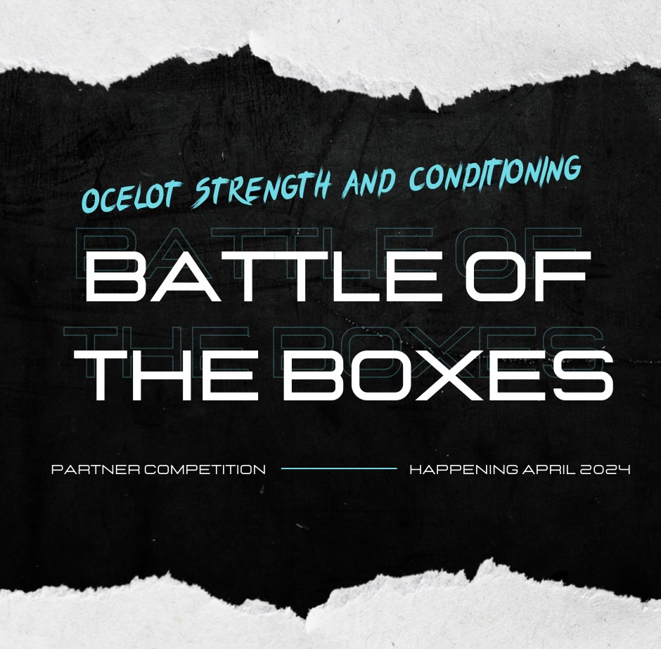 Battle of the Boxes 2024 logo