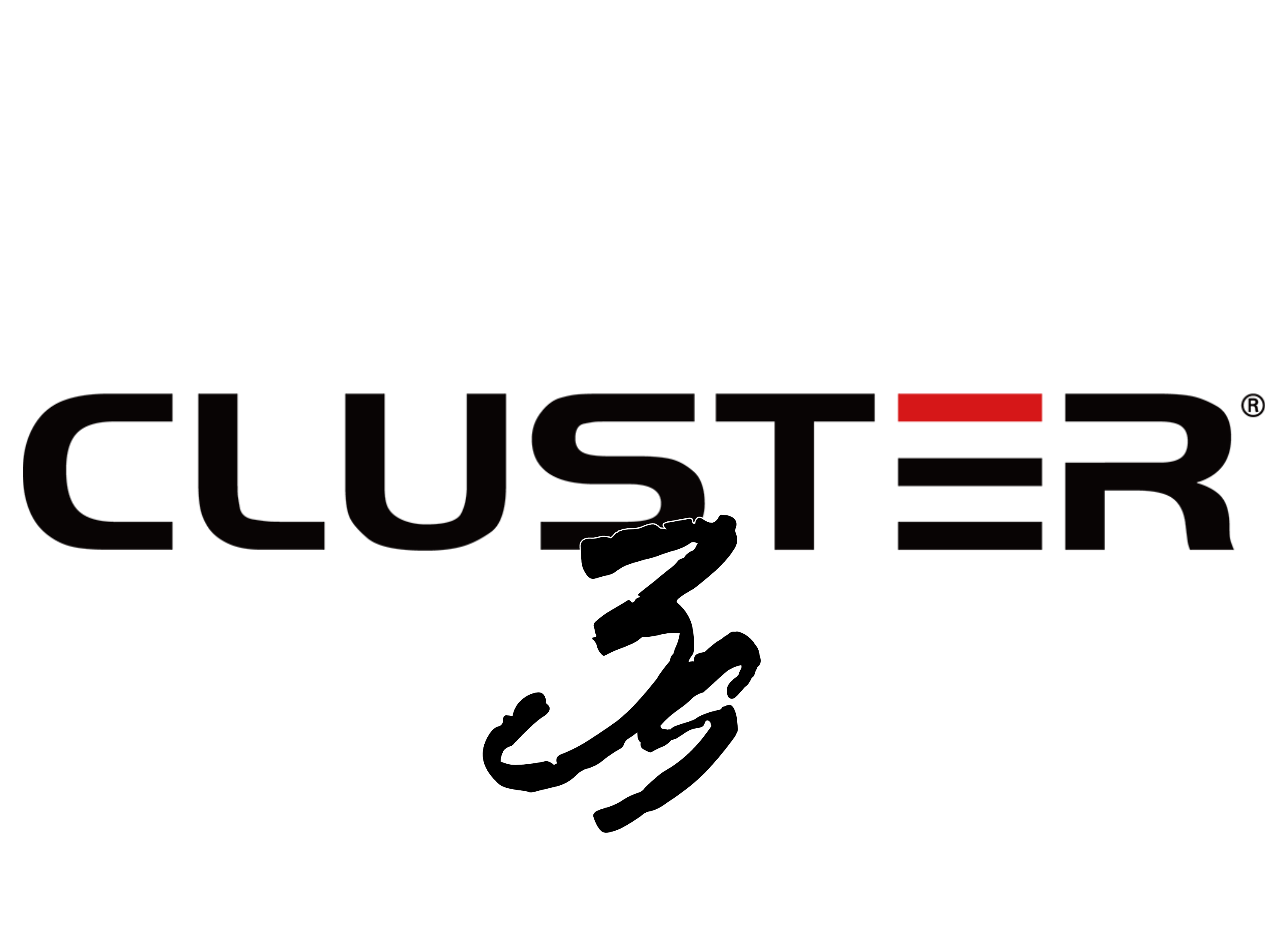 Cluster 3's - Wellington logo