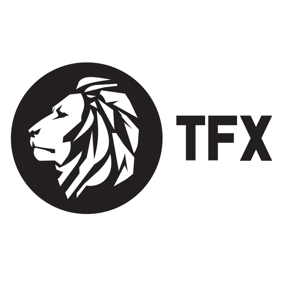 The Fittest Experience 2026 Online Qualifier logo