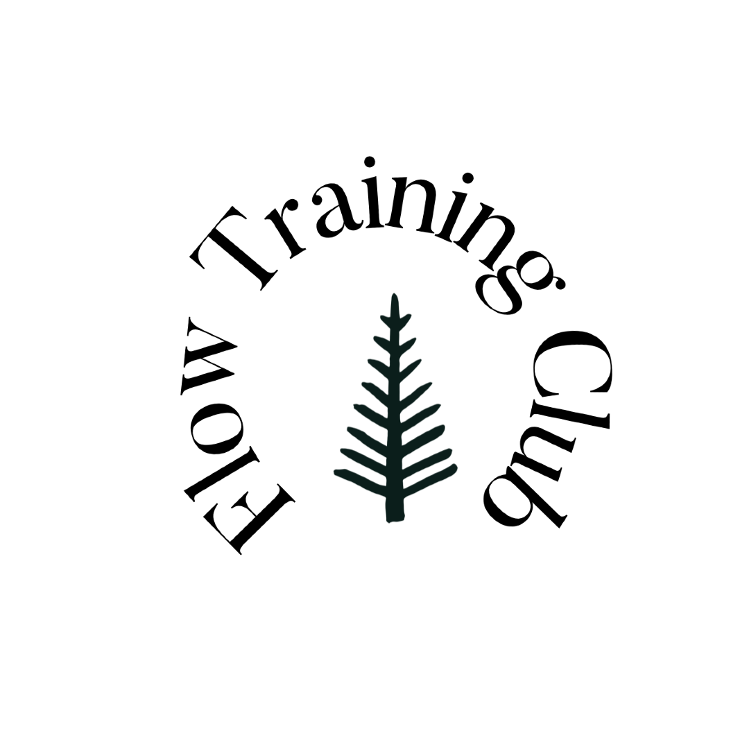 Flow Games logo