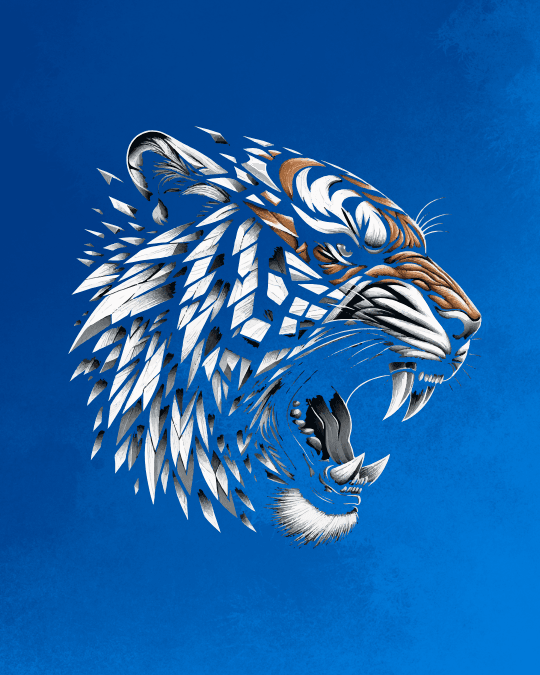 TIGER CONTEST 9 logo